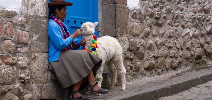 Llama em Cusco