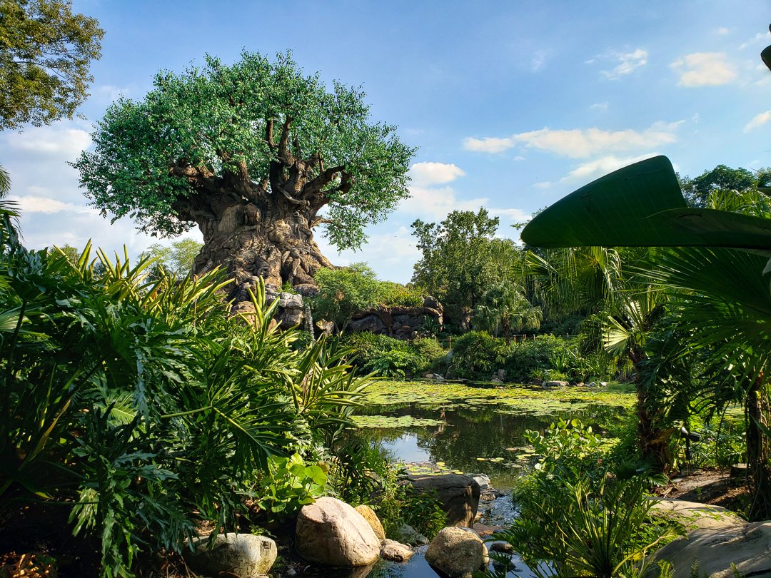Árvore da Vida, no Animal Kingdom
