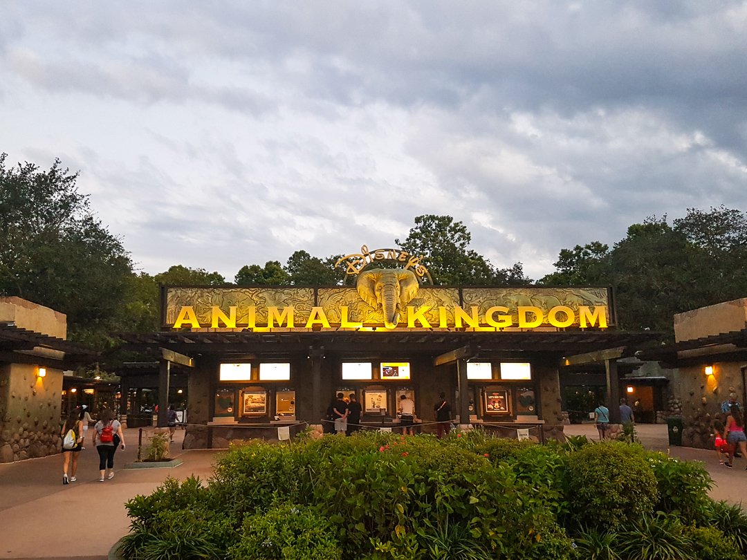 Animal Kingdom