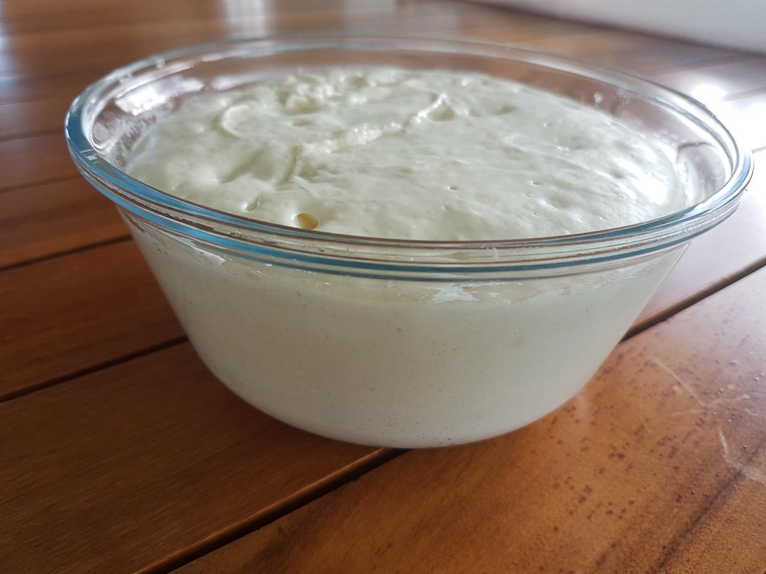 Levain após dobrar de tamanho