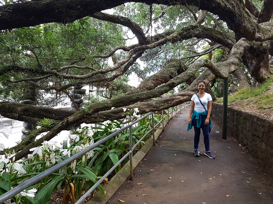 Albert Park