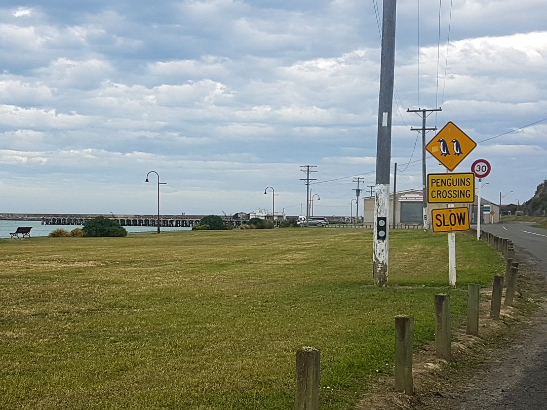 Oamaru Penguins