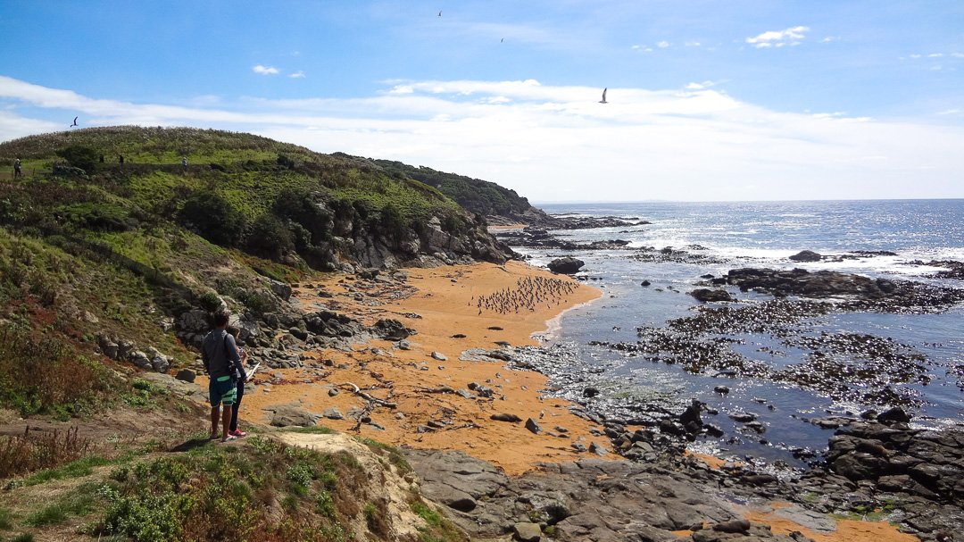 Katiki Point