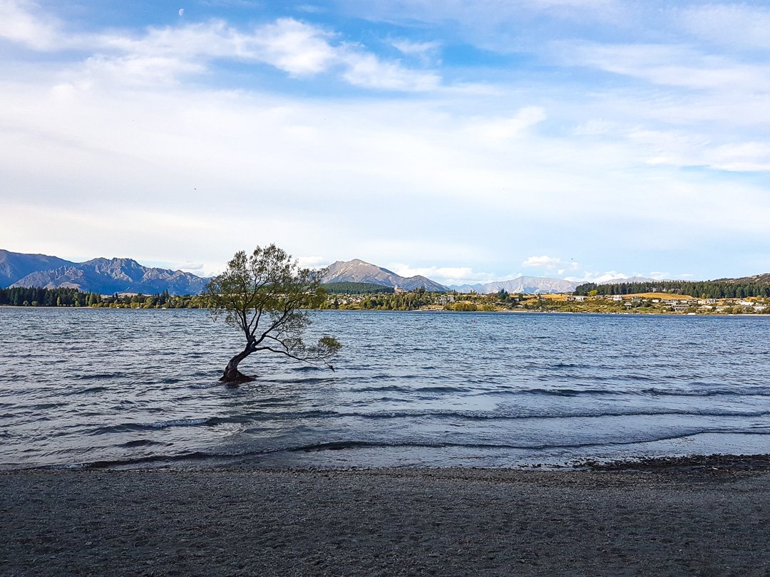 Wanaka Tree