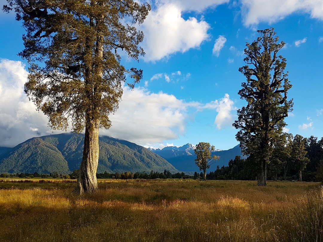 Lake Matheson, Nova Zelândia