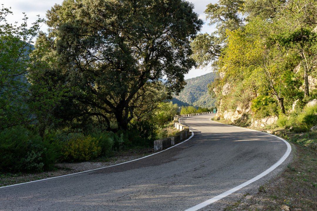 Estrada na Serra da Grazalema
