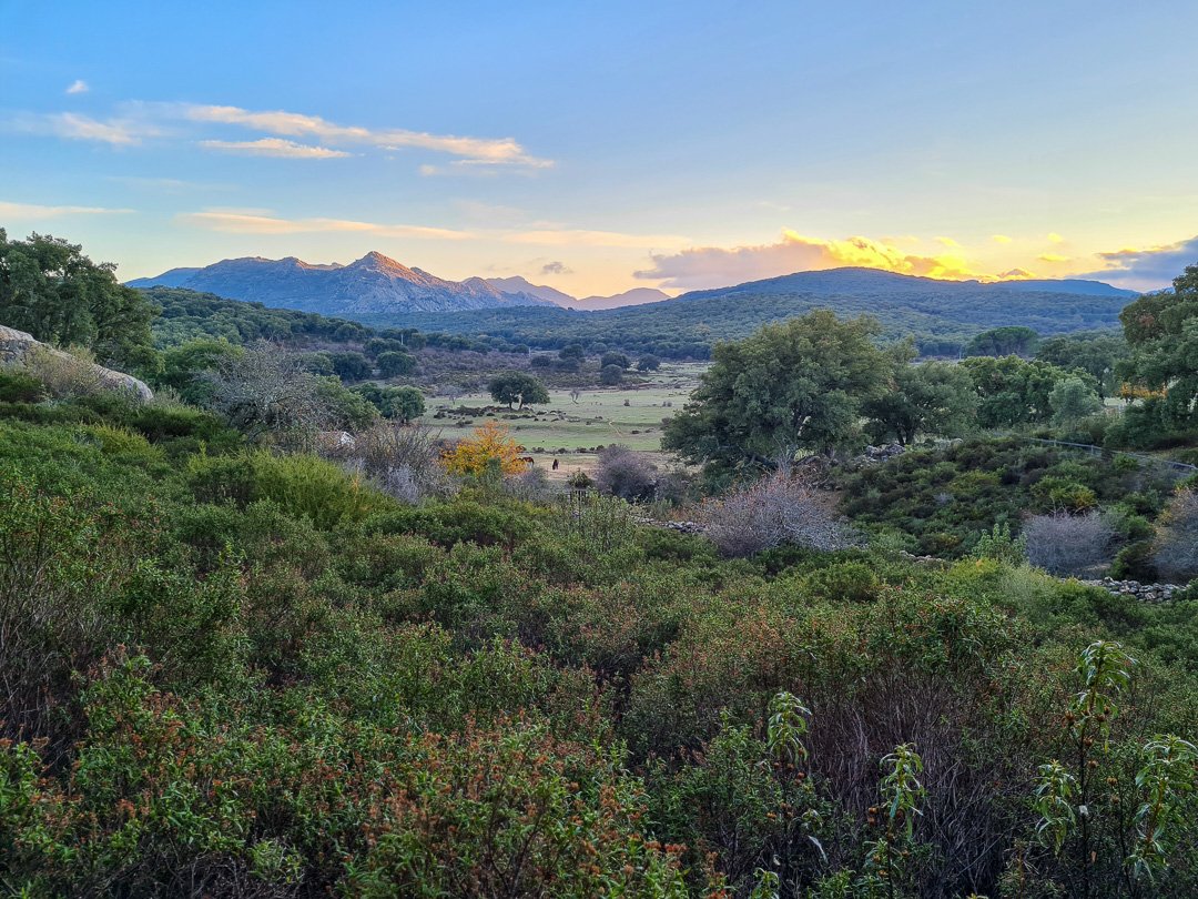Tambor del Llano - Grazalema