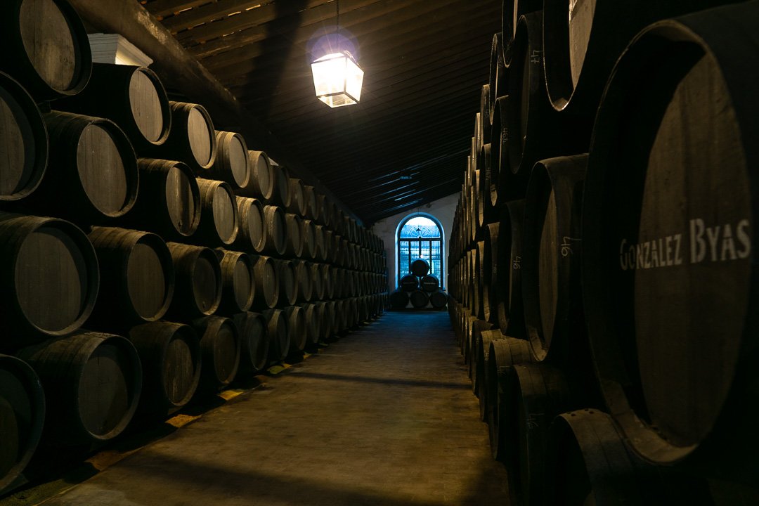 Visita à Bodega Tio Pepe