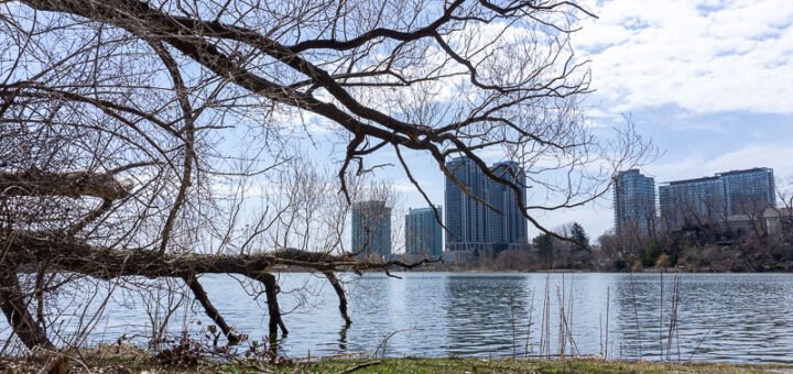 Toronto High Park