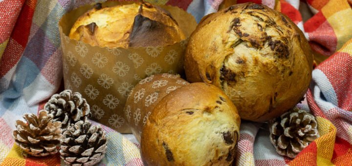 Panetone