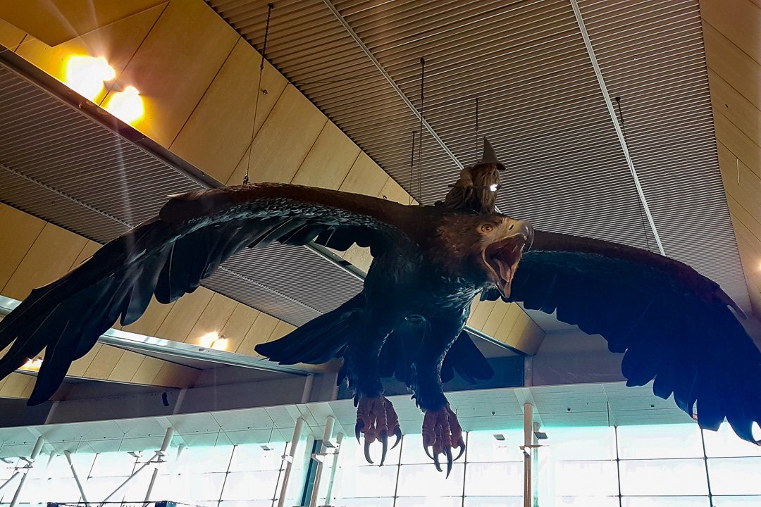 Aeroporto de Wellington, Nova Zelândia