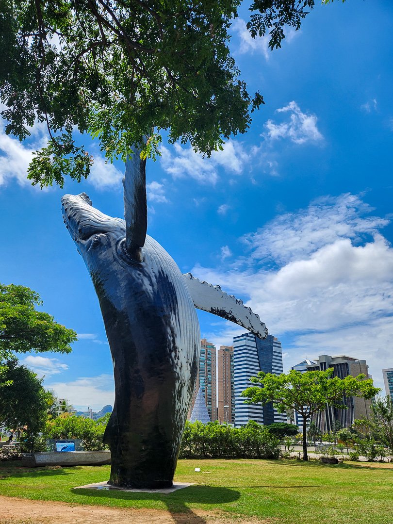 Praça do Papa