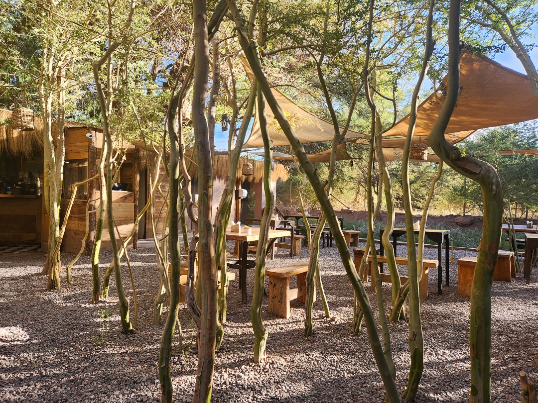 Franchuteria, San Pedro de Atacama
