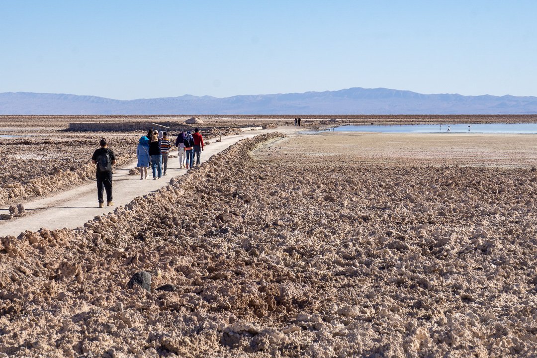 Procurando Flamingos na Laguna Chaxa, Atacama