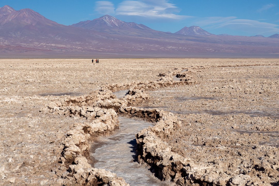 Laguna Chaxa, Atacama