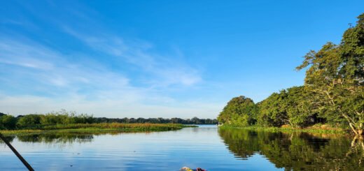 Barco em rio do Pantanal