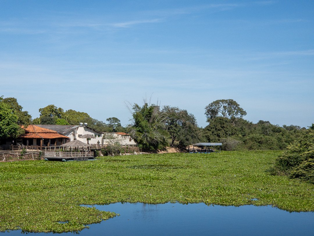 Paisagens na Transpantaneira