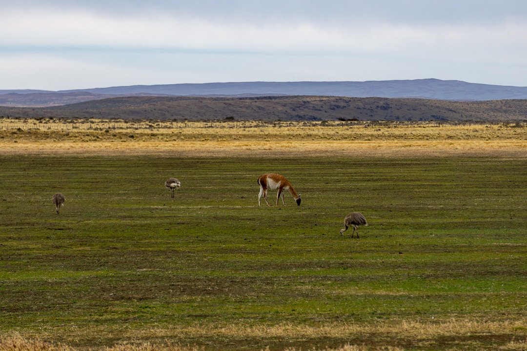 Estrada para Punta Arenas